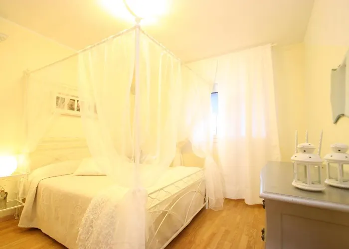 Maya A Campo - Goelba